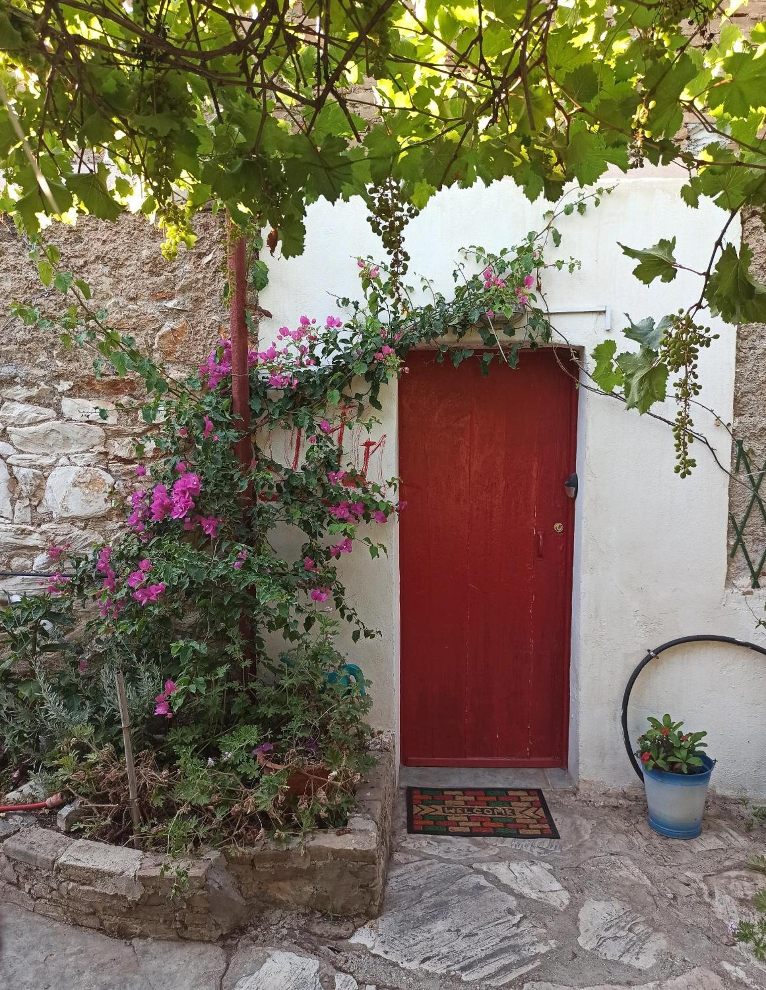 1895 Garden House Villa Lavrion Exterior photo